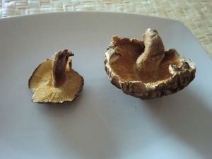 Dashi shiru Dashi shiru