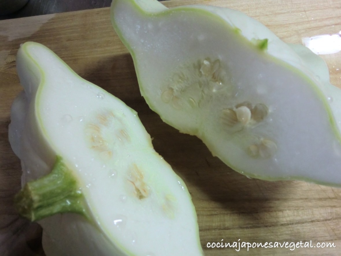 Calabacín ovni 1 Calabacín ovni 1