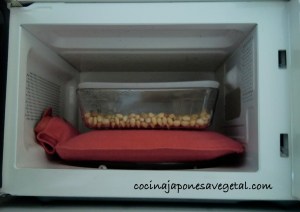 clonacion-natto-6 clonacion-natto-6