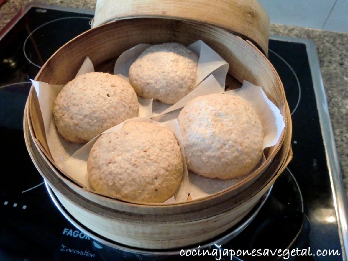 Fermentar-vaporera-1